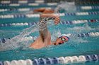 Swim vs Bentley  Wheaton College Swimming & Diving vs Bentley University. - Photo by Keith Nordstrom : Wheaton, Swimming & Diving